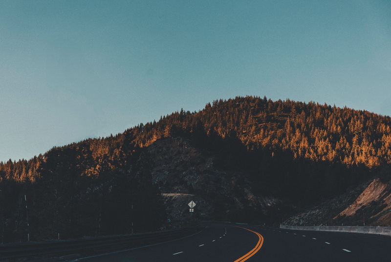 sign, asphalt, plant, traffic, rural Scene, marking, forest, autumn, 5K, clear sky, beauty In Nature, summer, travel, sunset, landscape, non-urban scene
