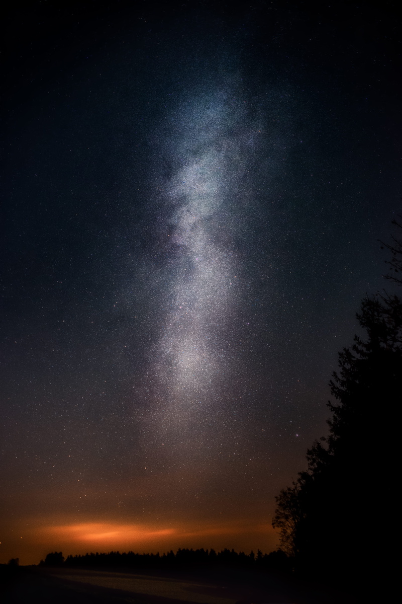 constellation, sky, space, nature, black, growth, night sky, night, no people, outdoors, silhouette, beauty in nature, star - space, tree, nighttime, idyllic