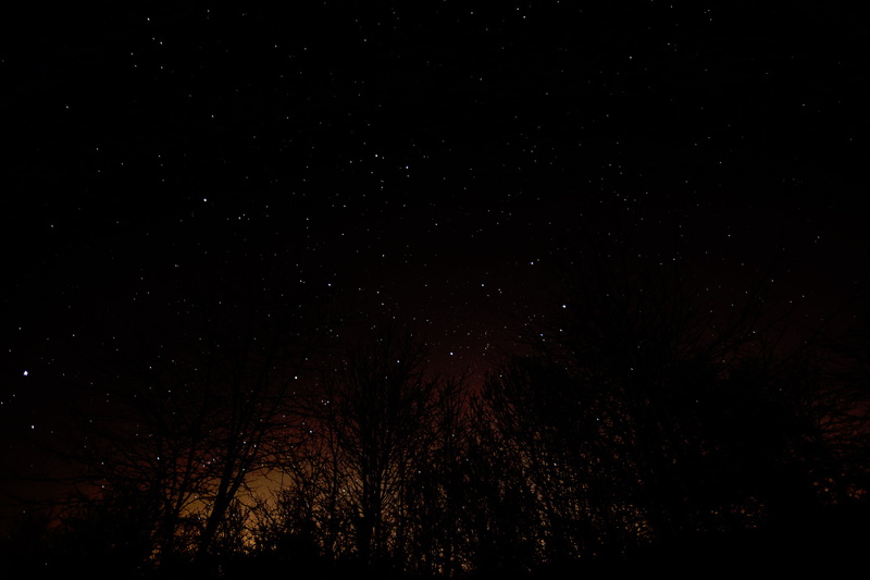 stars, astronomy, stargazing, tranquil scene, sky, night, no people, star, low angle view, star - Space, 1080P, tree, beauty in nature, star field, space and astronomy