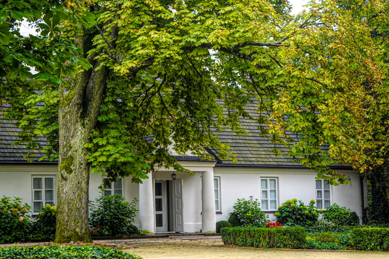 growth, ivy, beauty in nature, architecture, built structure, ornamental garden, 5K, residential district, tree, composer, fryderyk chopin, music, leaf