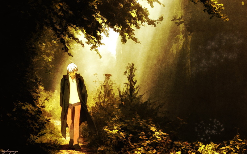 land, leisure activity, plant, one person, full length, tranquility, tree, character, outdoors, adult, male, standing, anime, beauty in nature, growth