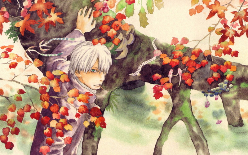Mushishi, man, art and craft, no people, branch, shirt, tree, fruit, painting, growth, plant, creativity, beside, wearing, craft, 2K, anime, human representation