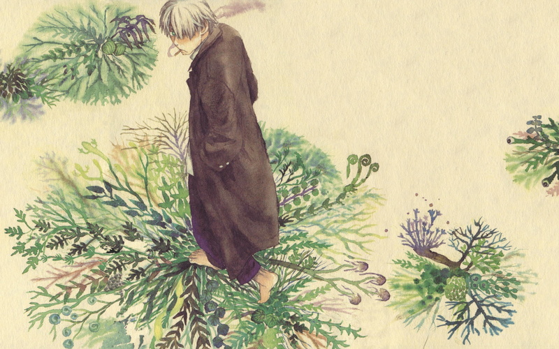 indoors, green color, leaf, tree, food and drink, mushishi, vertebrate, plant, 2K, day, food, animals in the wild, nature, high angle view, one person