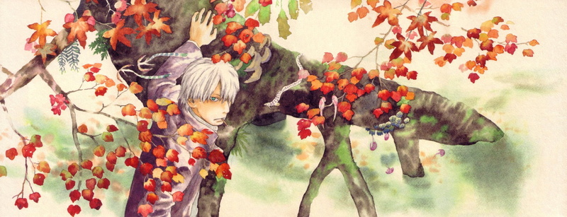 Anime, Mushishi, 1080P, Ginko (Mushishi)