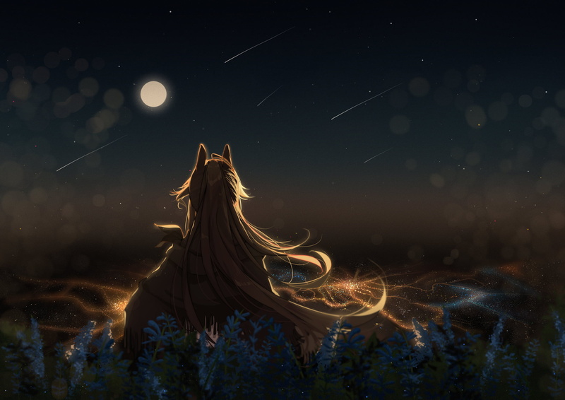 blonde, Moon, sky, flowers, Arknights, long hair, starfall, stars, city lights, meteorite, Firewatch(Arknights), anime, grass, scarf, animal eyes, 1080P