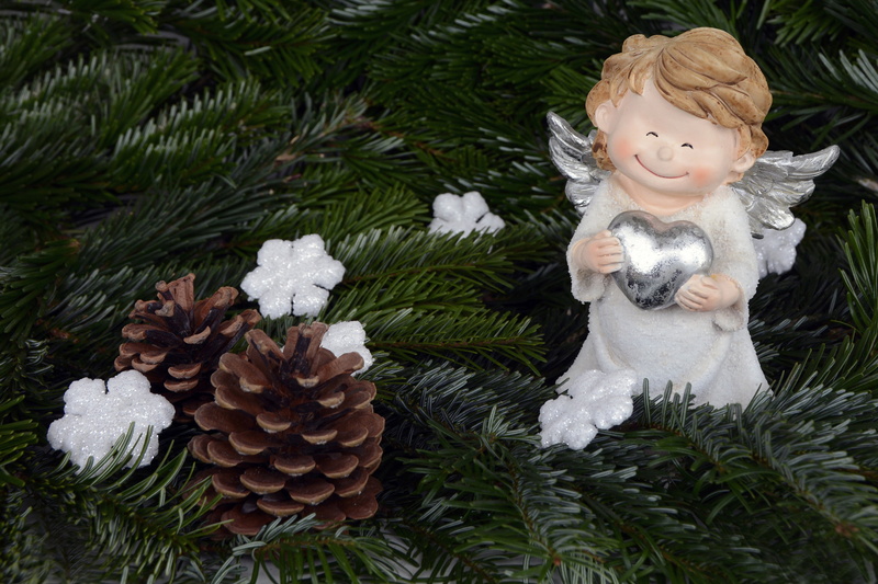 merry christmas, 4K, smile, fir Tree, cold temperature, child, pine tree, pine cones, satisfied, pine, creativity, christmas greeting, decoration, christmas card