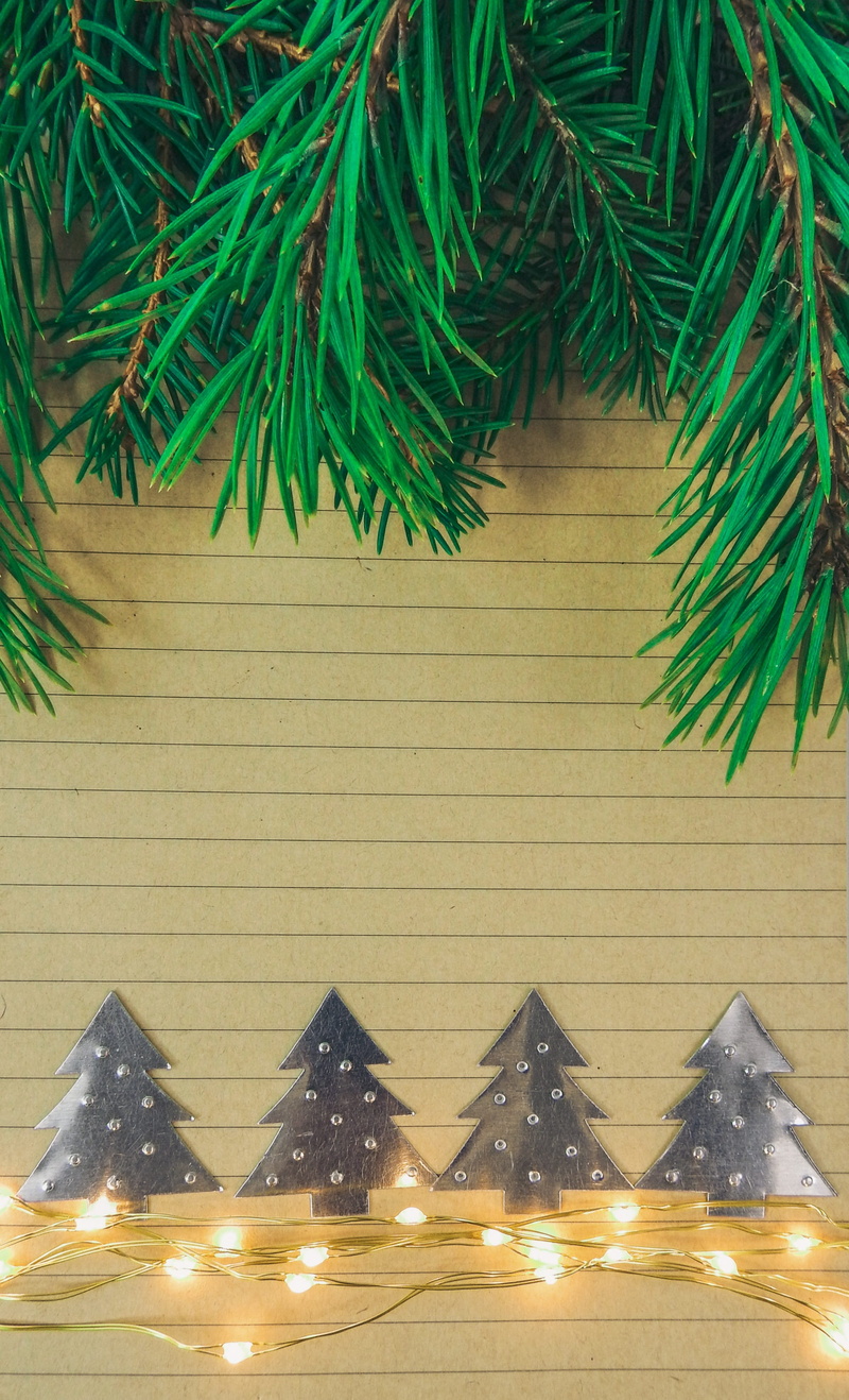 invitation, 2K, string, green color, frame, palm tree, design, merry, christmas lights, tree, no people, christmas tree, nature, turned, text, event, greeting