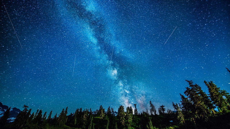 trees, galaxy, asteroid, night, nature, stars, hd, way, forest, 1080P, milky