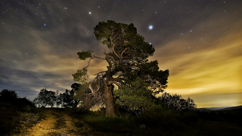 cloud, stars, starry sky, tree, landscape, sky, night, evening, nature, darkness, 4K
