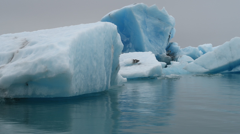 north Pole, frozen, lake, blue, tranquility, icelandic, white, waterfront, winter, day, 5K, floating, ze, environment, water, sea, ice, beauty in nature