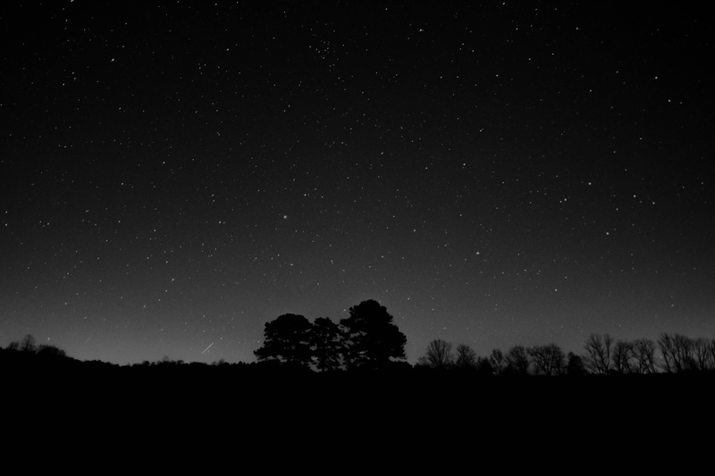 plant, night, astronomy, star - Space, landscape, black and white, tranquility, scenics - nature, beauty in nature, space, nebula, star field, constellation