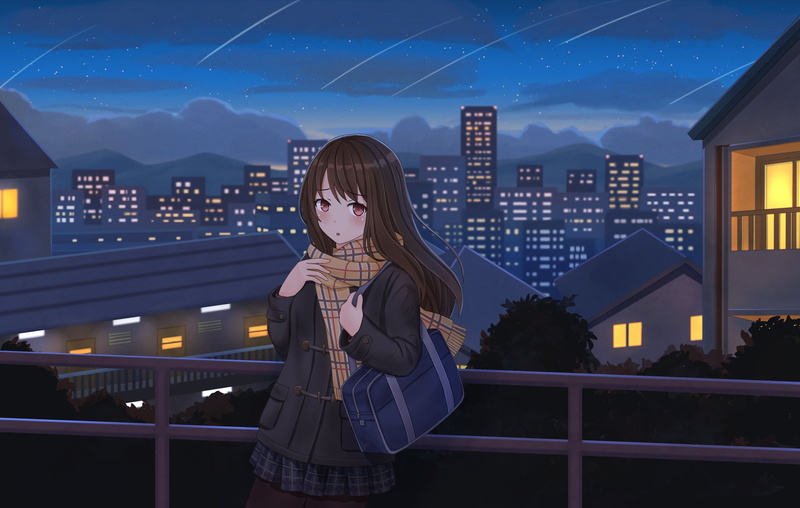 Starry Sky, Stars, Anime, Shooting Star, Night, 4K, City, Girl, Original