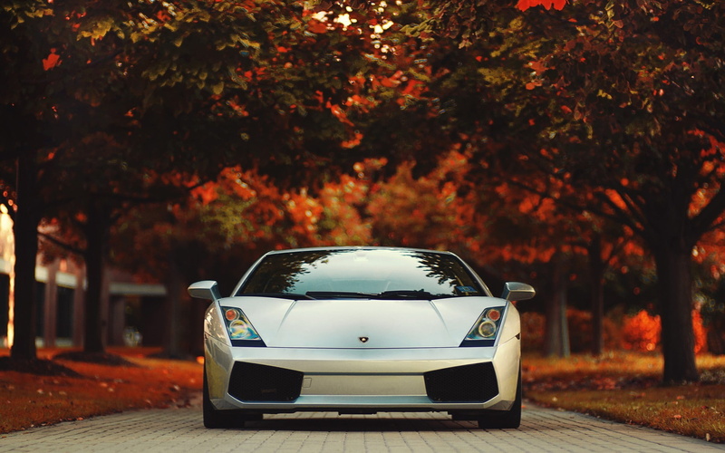 road, change, mode of transportation, city, day, motor vehicle, street, plant, land vehicle, transportation, outdoors, focus on foreground, 1080P, Gallardo