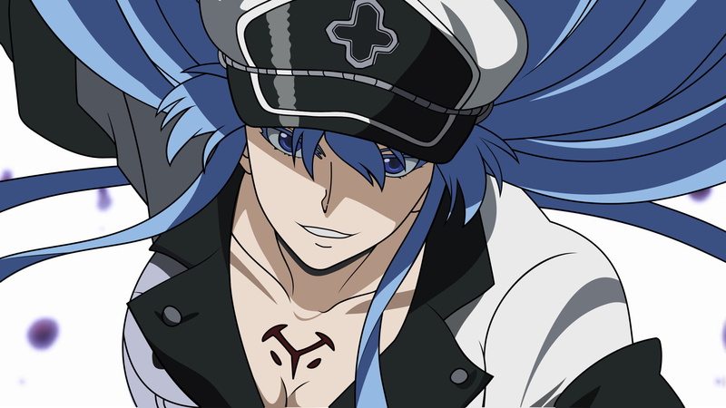 looking at viewer, 1080P, Esdeath (Akame Ga Kill!), blue hair