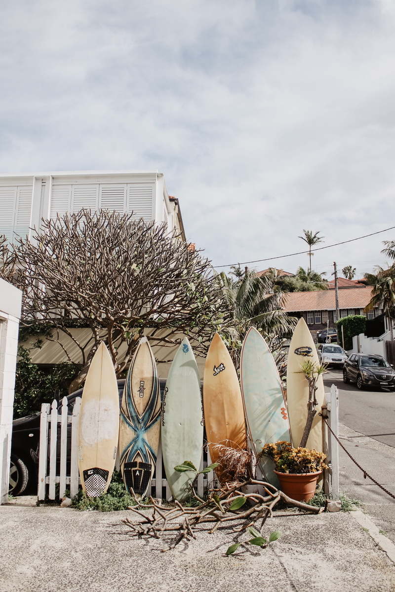 surfer, tree, town, beach, city, house, color, background, manly beach, surfboards, vibe, no People, board, sky, six, rad, surf, cloud, cultures, surf board