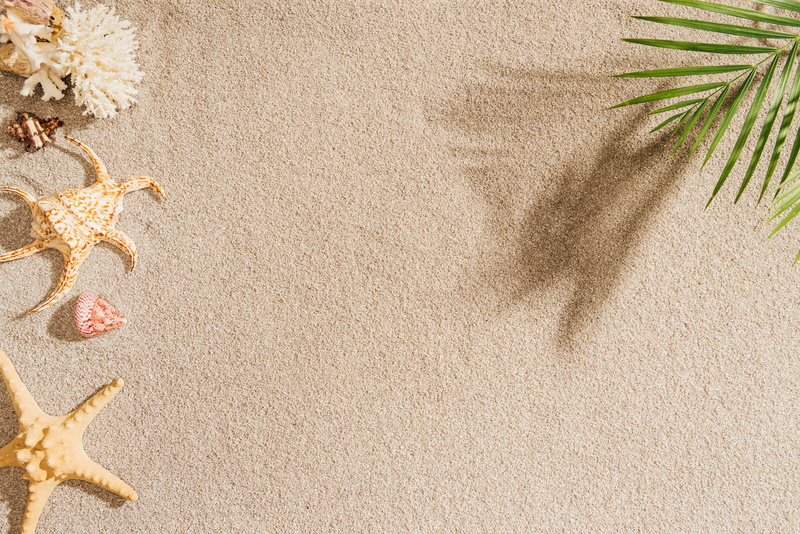 beach, sand, starfish, 5K, palm, shell, seashells, summer, sea, Palma