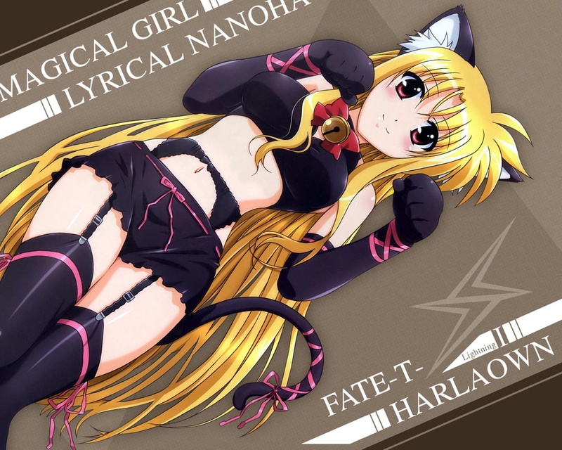 music, nekomimi, indoors, creativity, people, cat ears, message, arts culture and entertainment, male likeness, 720P, art and craft, Mahou Shoujo Lyrical Nanoha