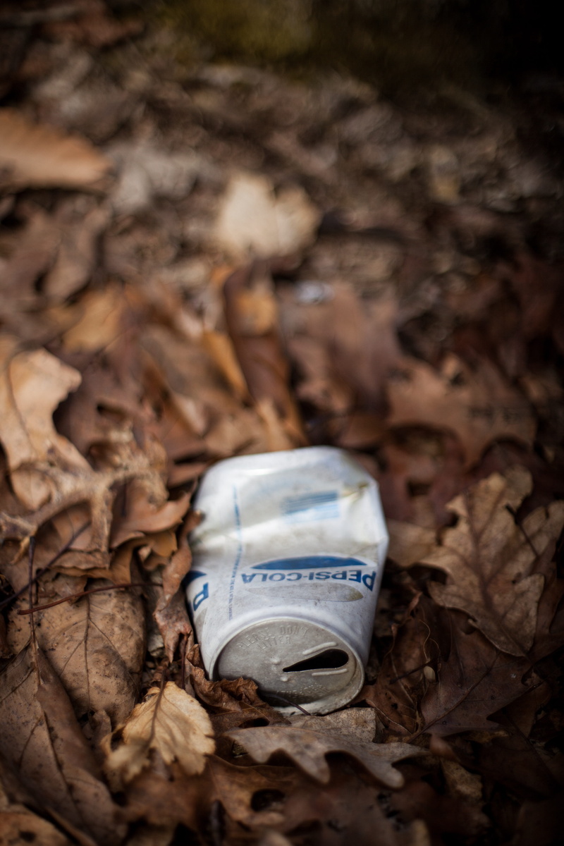 day, photography, gray, beverage, dry, shoe, garbage, old can, outdoors, no people, nature, selective focus, land, leaves, close-up, can, rubbish, drinks can