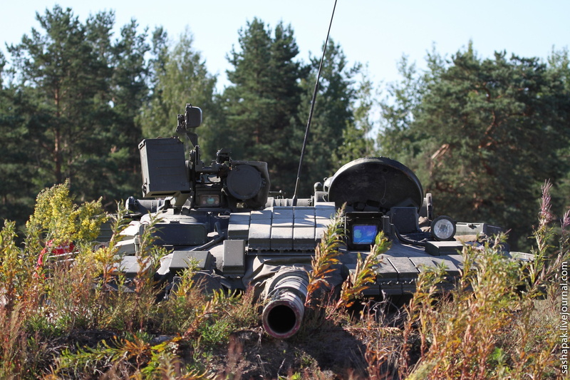 machinery, transportation, tank, field, sunlight, 1080P, growth, military, grass, obsolete, land, photography themes, gray, nature, outdoors, Russia, day