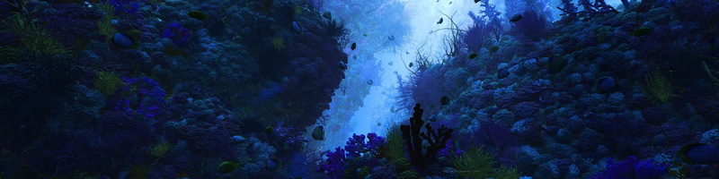 underwater, nature, sea, fish, multiple display, 4K