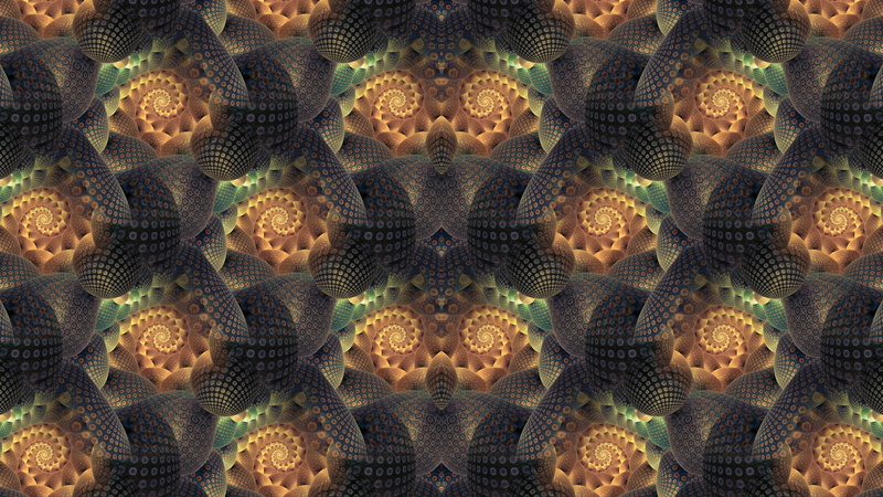 fractal, science, biology, animal wildlife, marine, animals in the wild, full frame, sea life, beauty in nature, pattern, close-up, invertebrate, symmetry