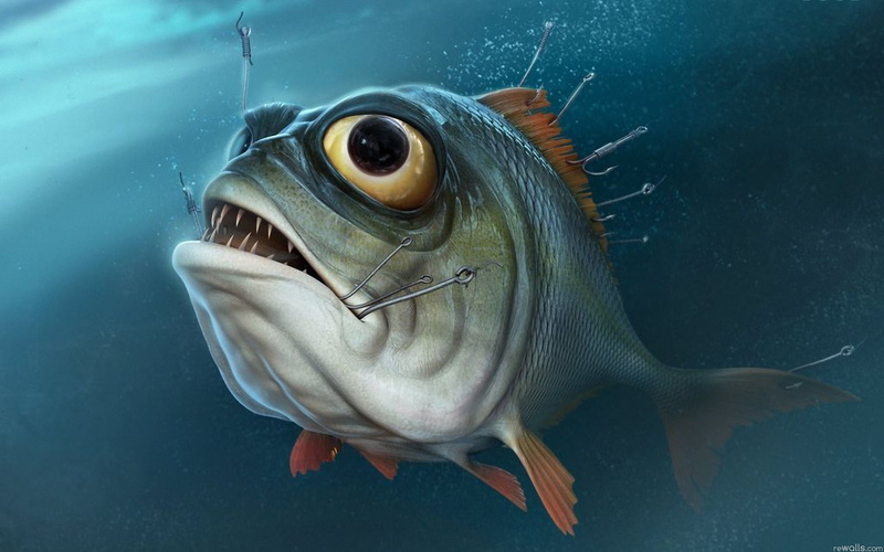 hooks, animals in the wild, animal body part, illustration, swimming Animal, fishing, piranha, water, wildlife, saltwater fish, no people, marine, one animal