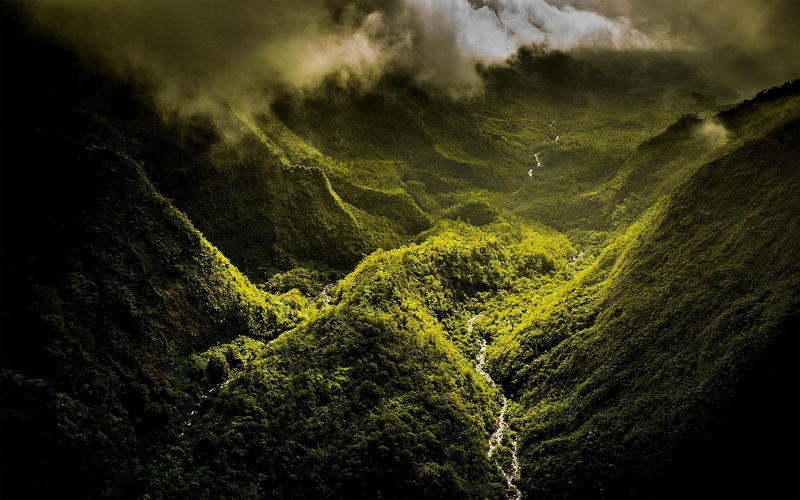 growth, Hawaii, tree, day, tranquil scene, landscape, cloud - sky, green color, nature, green, no people, mountain, land, foliage, tranquility, island