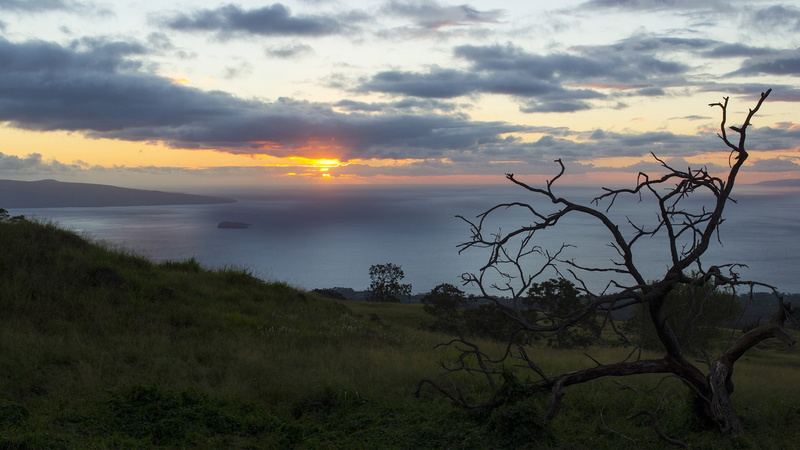 landscape, land, plant, sea, scenics - nature, sun, Hawaii, sky, tranquil scene, grass, island, idyllic, beauty in nature, nature, sunset, tree, green