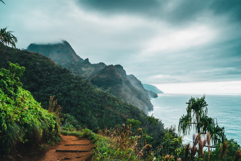 land, 5K, beauty in nature, tranquil scene, tree, pacific, horizon over water, trail, growth, sea, cloudy, explore, sky, napali, dream, hike, tranquility