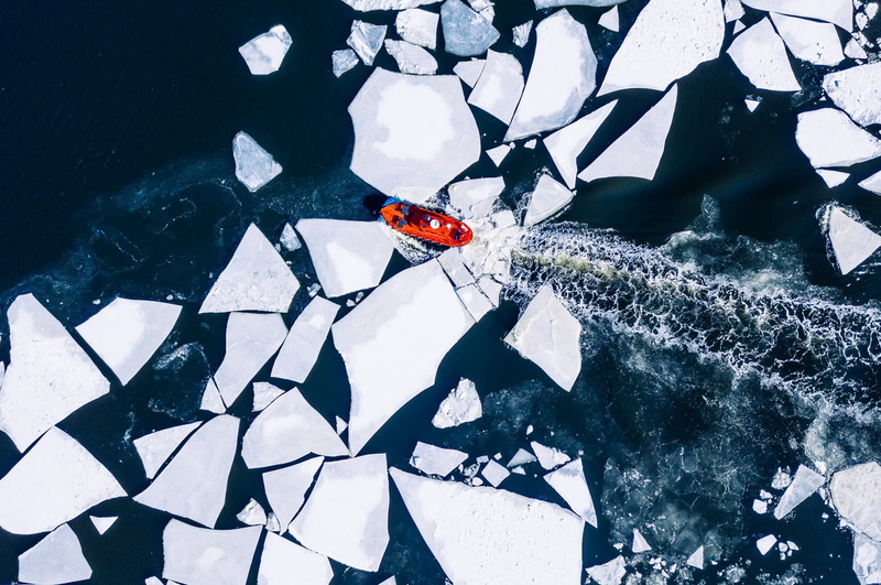 one animal, animal themes, animal wildlife, ladybug, high angle view, invertebrate, red, sea, animals in the wild, vehicle, 1080P, animal, insect, blue