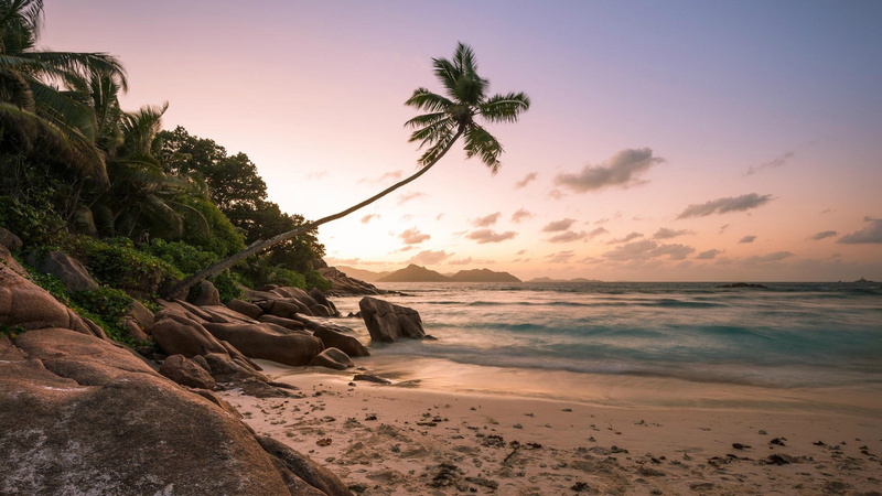 tropics, palm, praslin, sea, tree, seychelles, trpical landscape, beach, chevalier bay, ocean, bay, palm tree, anse lazio, morning, 1080P, shore, sunrise
