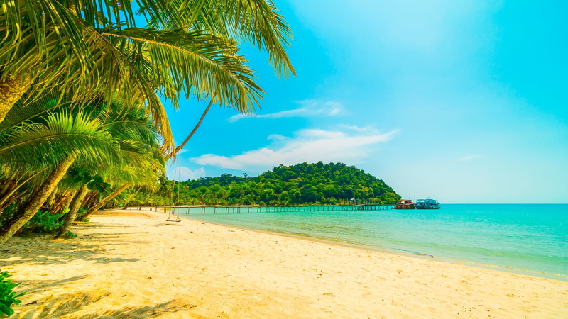 no people, beauty in nature, anse lazio, tranquility, horizon over water, idyllic, coast, plant, exotic, land, shore, 4K, tropical tree, sand, tropical climate