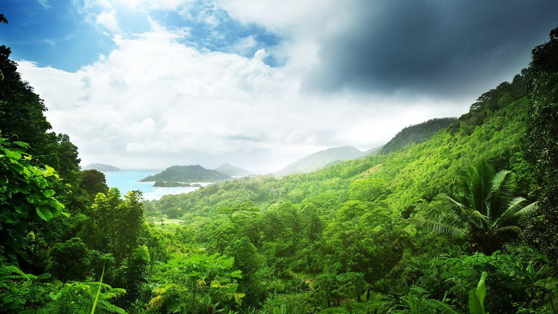 clouds, green, cloud - sky, green color, rainforest, land, tranquility, vegetation, lush foliage, beauty in nature, indian ocean, tree, plant, ecosystem