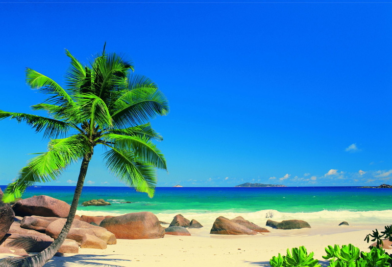 no People, land, travel, relaxation, scenics, Seychelles, vacations, turquoise Colored, wave, the sun, leafed, green, day, clear sky, sea, sun, sand, sunlight