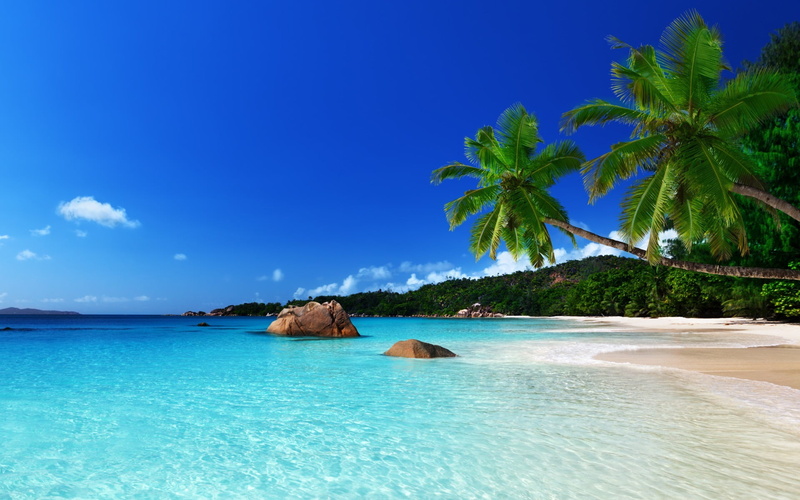 wave, no People, bay Of Water, day, relaxation, outdoors, seashore, coastline, white, palm, tourist Resort, journey, water, trees, plant, turquoise Colored