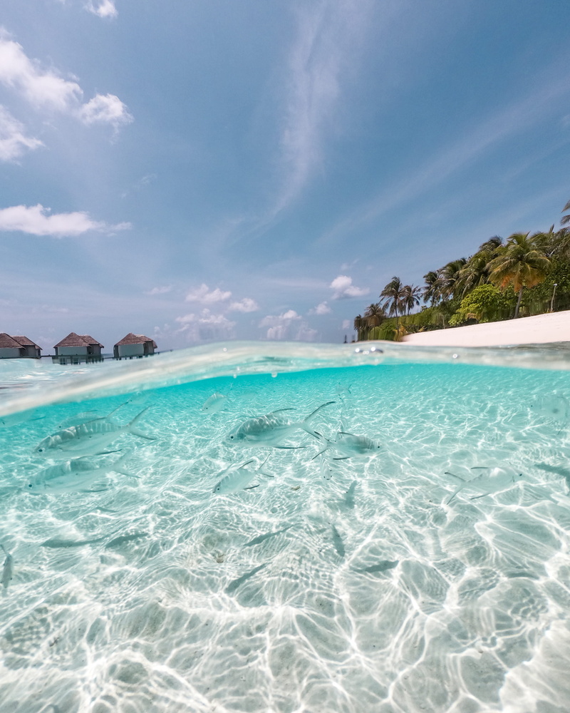 sunlight, sunny, life, sea, outdoors, luxury, beauty, seychelles, summer, no People, vacations, beauty In Nature, hut, nature, scenics, live, building