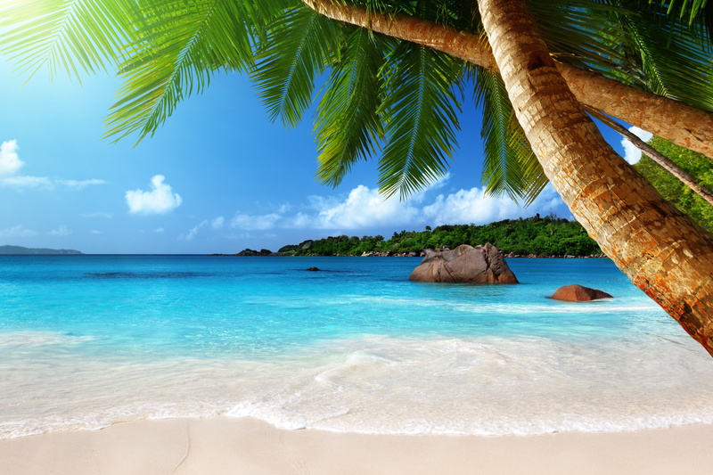 horizon over water, vacations, nature, coconut Palm Tree, coast, vacation, tranquil Scene, tourism, caribbean Sea, shore, island, palm, landscape, tropical Climate