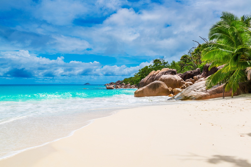 tree, coastline, paradise, day, wave, landscape, shore, summer, coconut Palm Tree, tourist Resort, lagoon, tourism, sun, island, beauty In Nature, no People