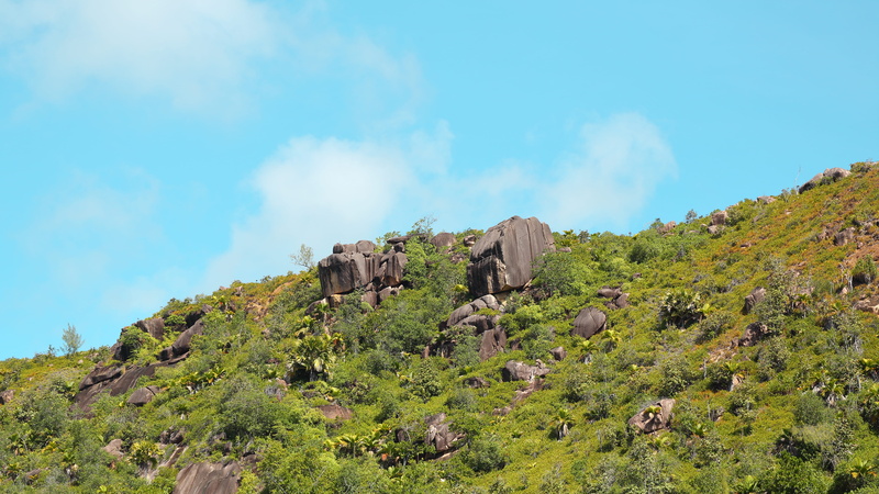 tranquility, plant, grass, no people, tranquil scene, landscape, praslin, nature, environment, mountain, solid, cloud - sky, green color, day, outdoors