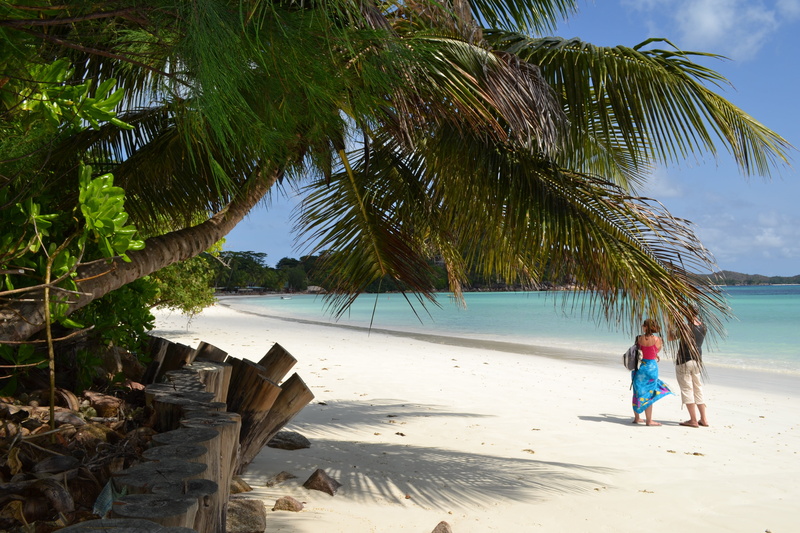 sea, palm tree, trip, sun, man, woman, women, holiday, shore, seychelles, beach, travel, waters edge, vacations, outdoors, blue, ocean, nature, adult, walking