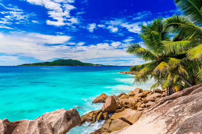 travel, tree, palms, praslin Island, vacations, shore, idyllic, island, palm trees, cloud - Sky, beach, beauty, coastline, sunlight, bay, bay Of Water