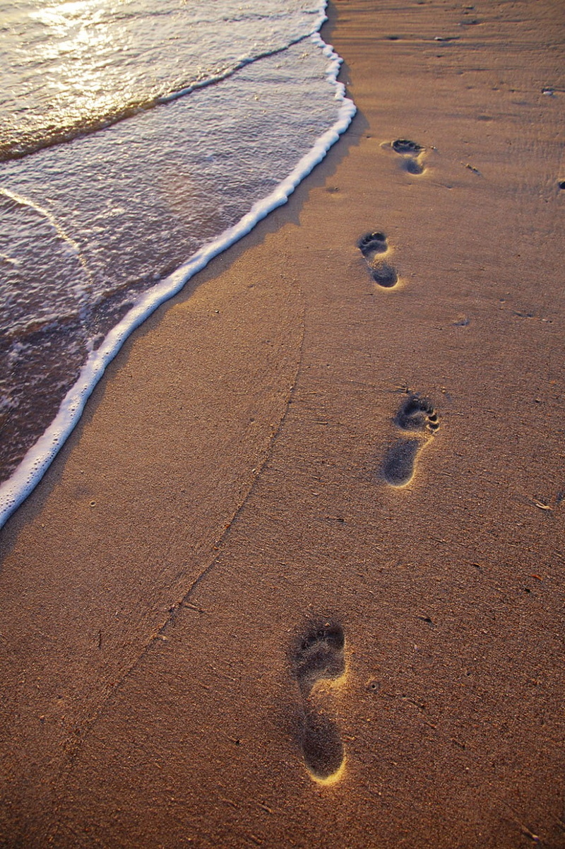 summer, sport, purple, shore, wave, sand, outdoors, brown, footprints, paw print, nature, near, sea, no People, footprint, print, high angle view, day