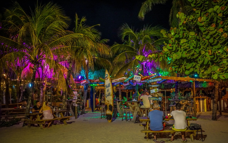 real people, trunk, nightlife, cocktail, caribbean, multi colored, nature, tropical, nightclub, tree, lifestyles, antilles, 5K, willemstad, plant, summer