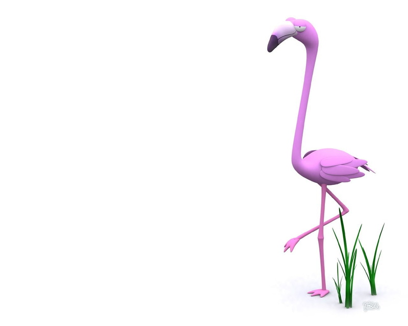flower, flowering plant, magenta, cut out, no people, flamingo, single object, beauty in nature, plant, indoors, bird, copy space, flower head, close-up