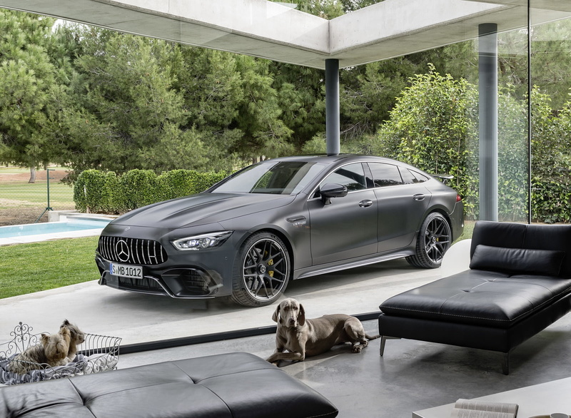 luxury cars, 720P, car, Pets, house, Mercedes-Benz, dog, vehicle, mercedes amg gt 63s