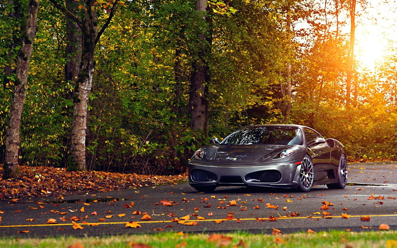 speed, 1080P, red, forest, sports, road, modern, land Vehicle, shiny, germany, wheel, vehicle, leaves, motor vehicle, yellow, canada, autumn, street, sports Car