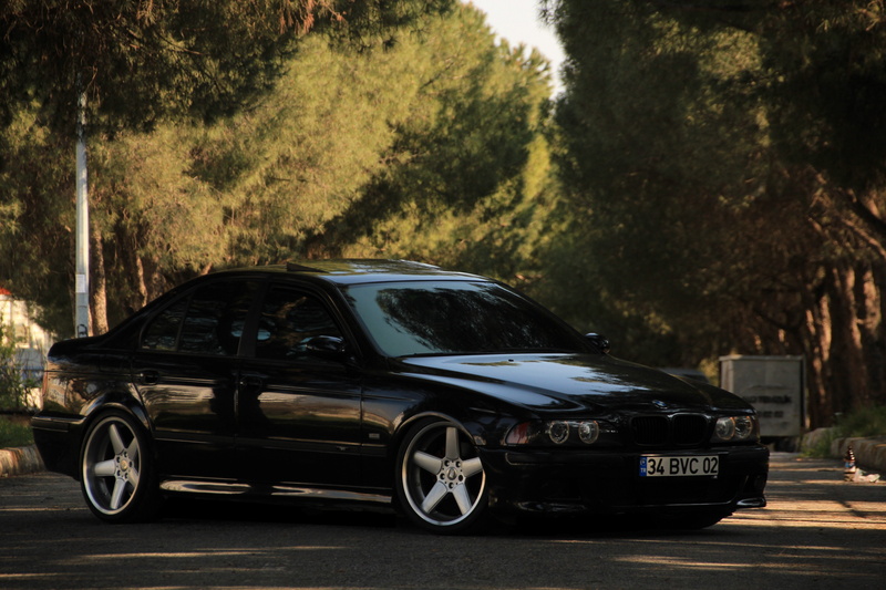 car bmw m bmw bmw m5 e39 bmw e39 bmw m5, street, plant, retro styled, land vehicle, luxury, no people, 5K, motor vehicle, nature, mode of transportation