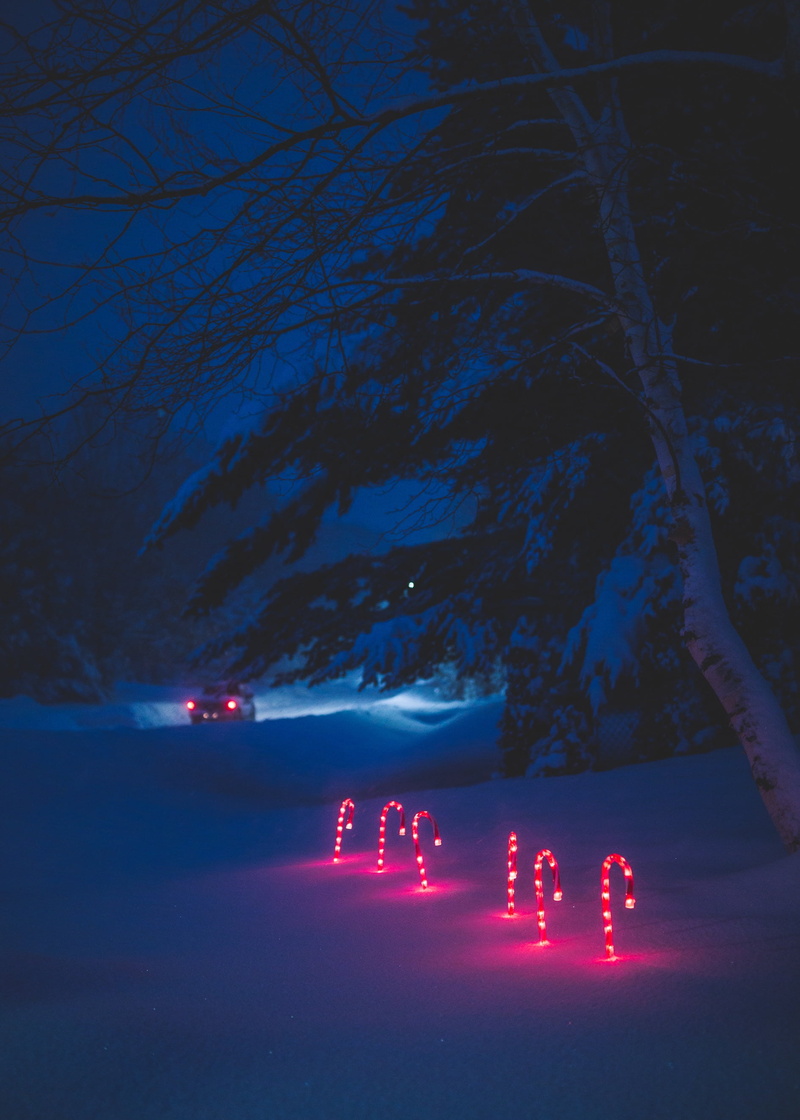 sign, road, six, branch, winter, light - natural phenomenon, illuminated, canes, cold temperature, plant, night, sky, snow, travel, light, ground, tree