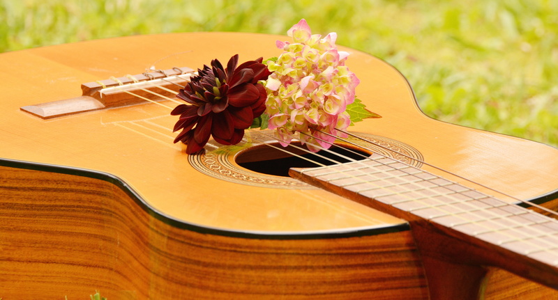 flower, craft, floral greeting, musical equipment, string, flower arrangement, stringed instrument, guitar, no people, brown, arts culture and entertainment