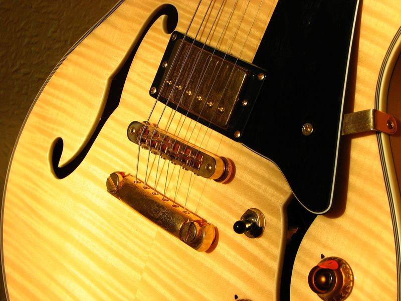 classical Music, musical Instrument Bridge, soundbody, black, arts And Entertainment, amplifier, Sonar, close-up, arts culture and entertainment, F-Hole